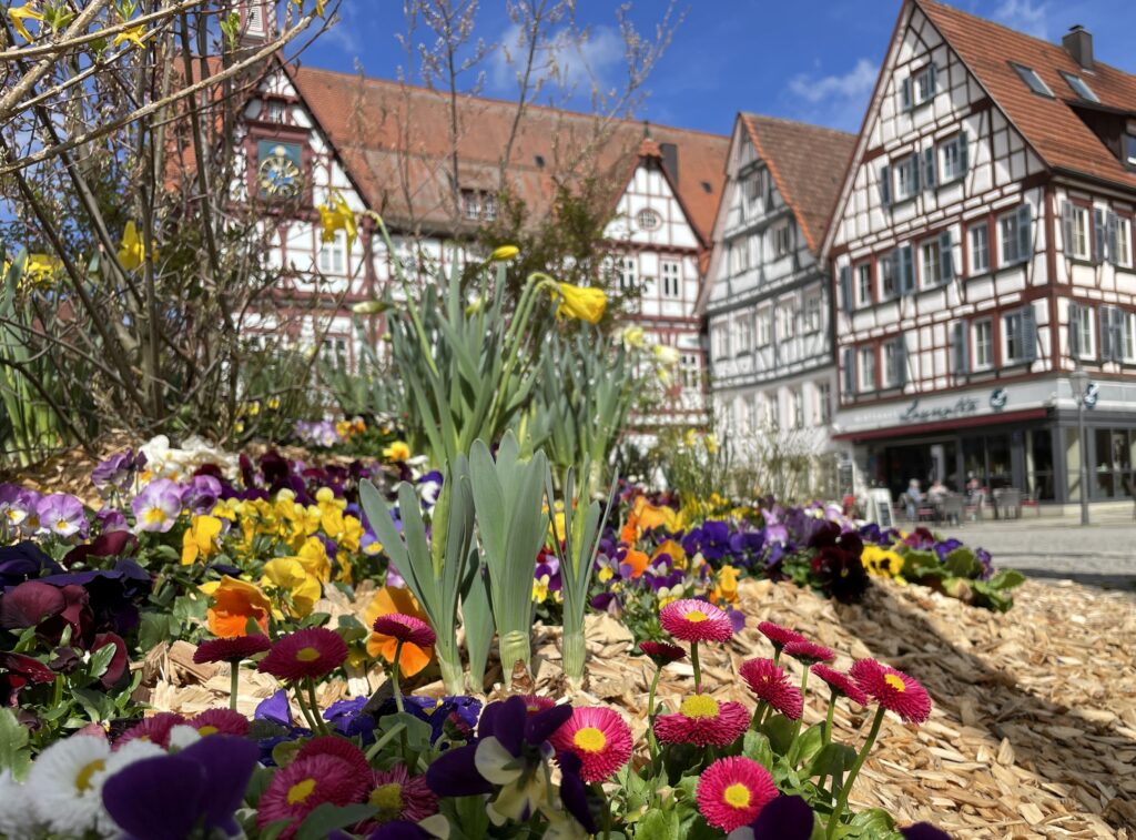 Osterfokus auf dem Marktplatz Bad Urach