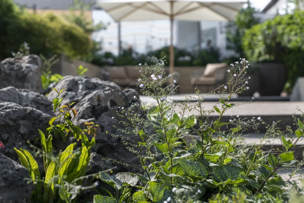 gartenschau-bad-urach-2027-blumen-garten-artismedia-Olaf-kuehl-2019-125647-_OLE2298