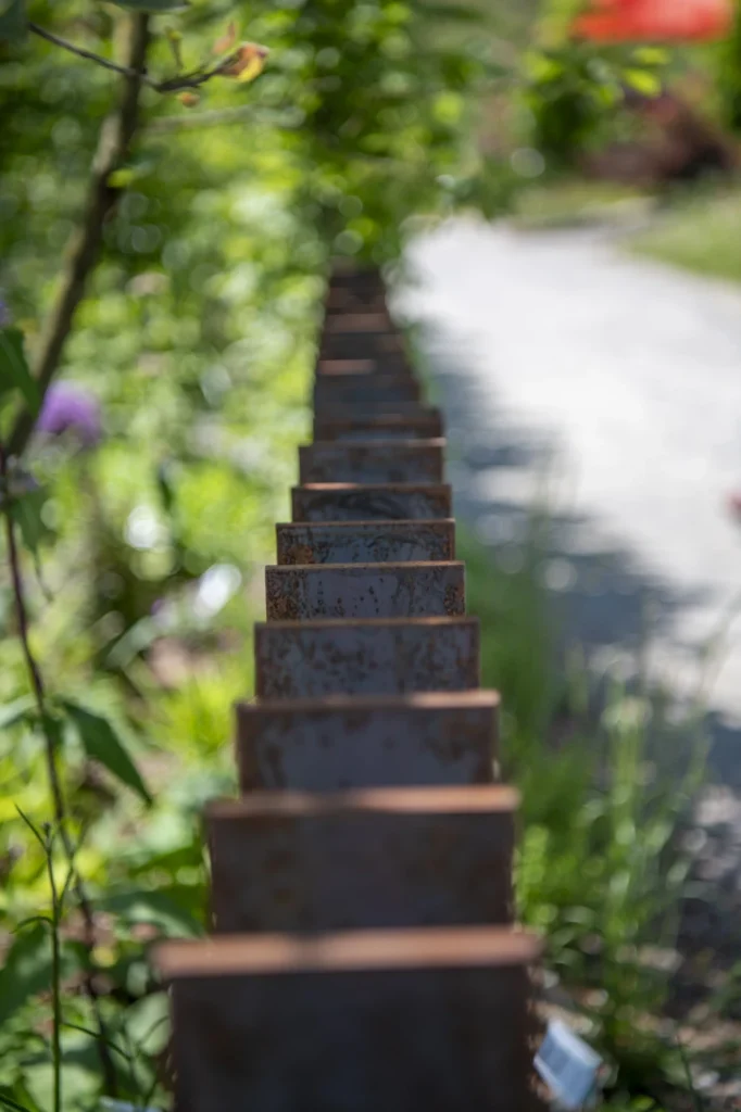 gartenschau-bad-urach-2027-blumen-garten-artismedia-Olaf-kuehl-2024-125550-_OLE6875