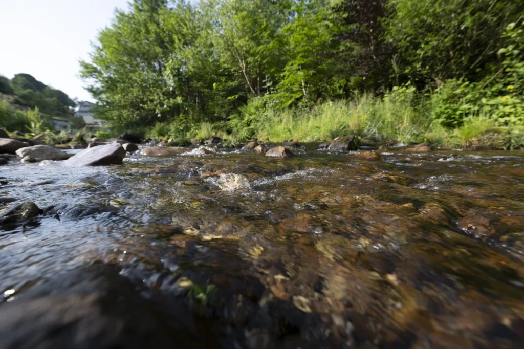 gartenschau-bad-urach-2027-blumen-garten-artismedia-Olaf-kuehl-2025-125530-OLE_9662