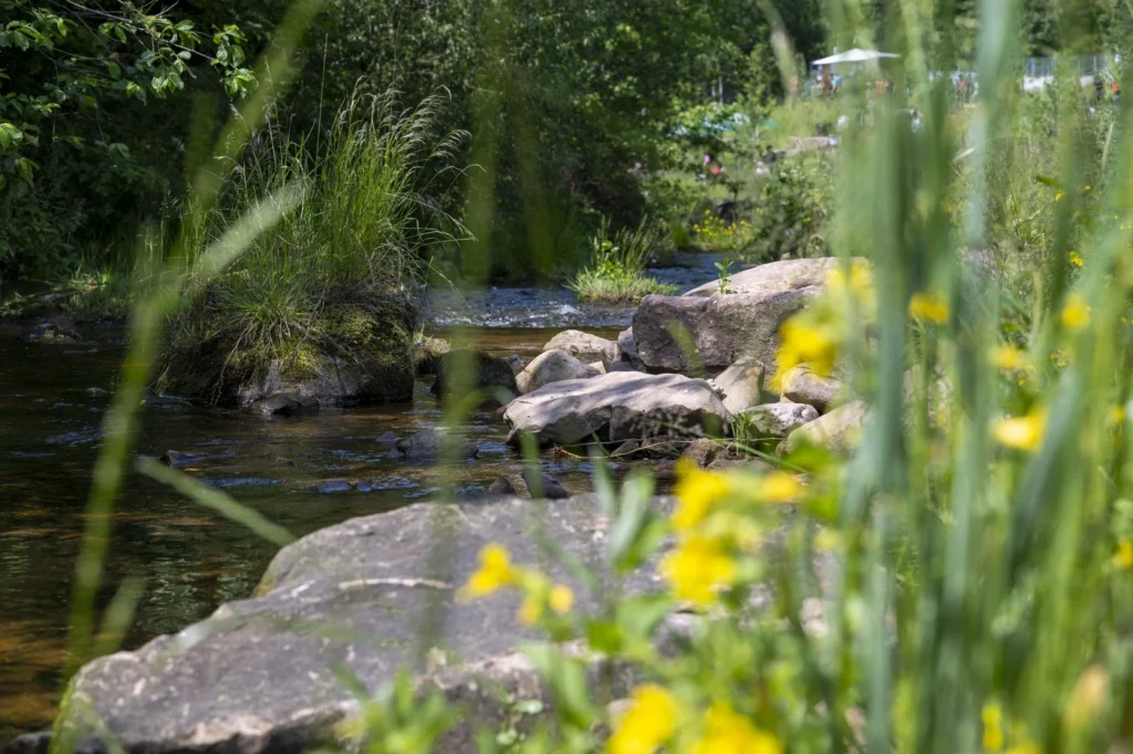 gartenschau-bad-urach-2027-blumen-garten-artismedia-Olaf-kuehl-2025-125533-freudenstadt-61