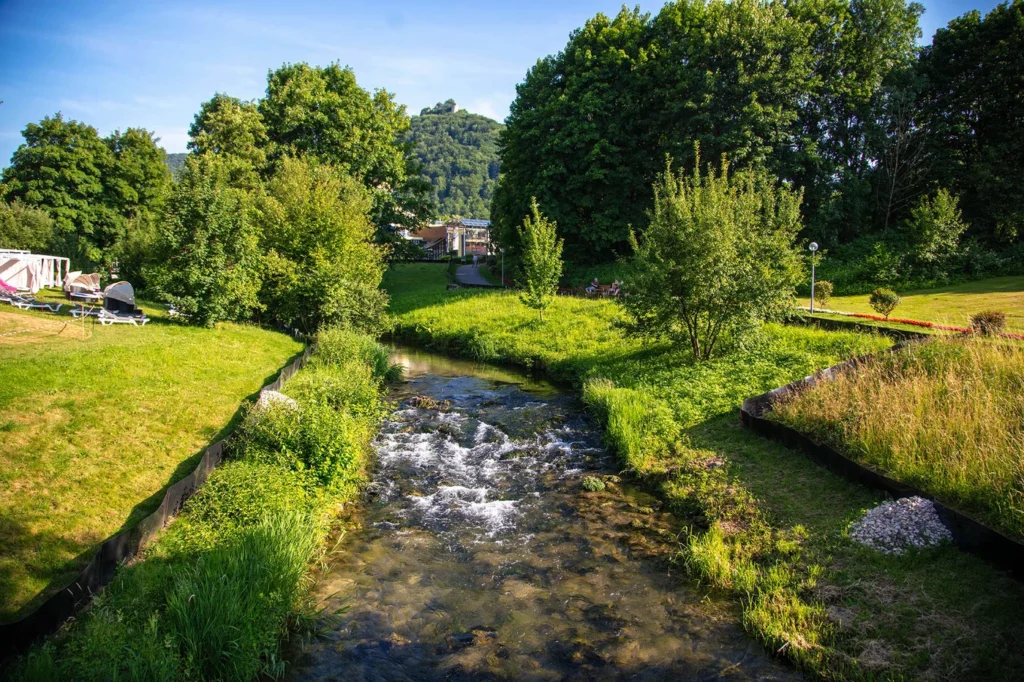 gartenschau-bad-urach-2027-blumen-gelaende-garten-natur-vielfalt-achim-mende-164854-Bad_Urach_Gartenschau_Mende_202A1123