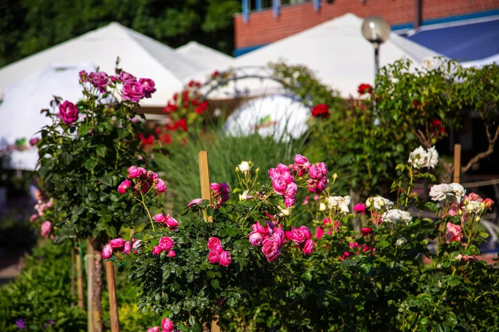 gartenschau-bad-urach-2027-blumen-gelaende-garten-natur-vielfalt-achim-mende-164908-Bad_Urach_Gartenschau_Mende_202A1117