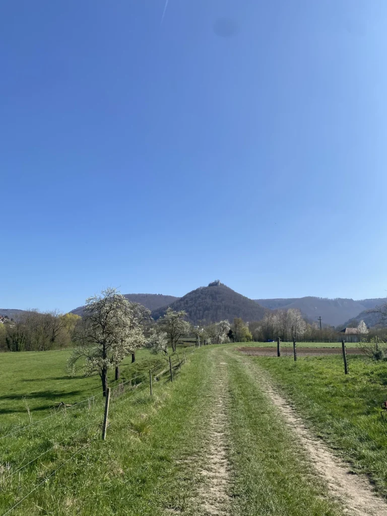 gartenschau-bad-urach-news--IMG_0595-0083