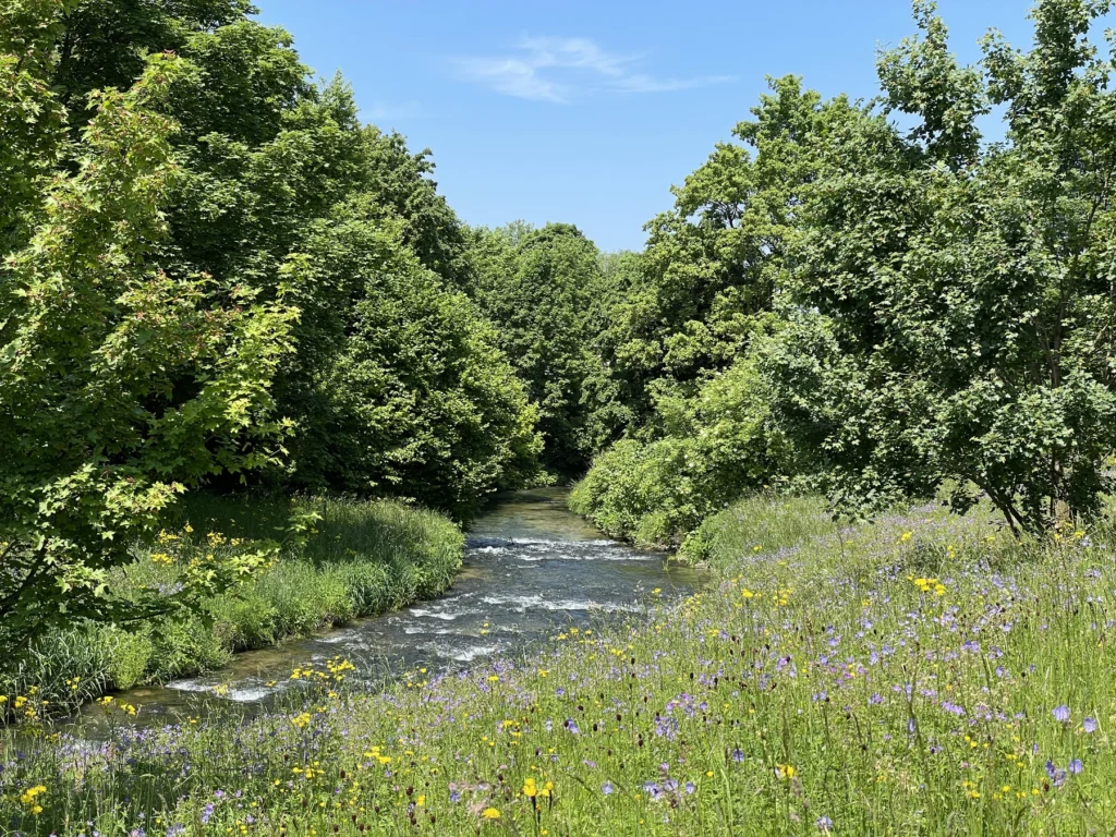 Die Erms in ihrem alten Zustand