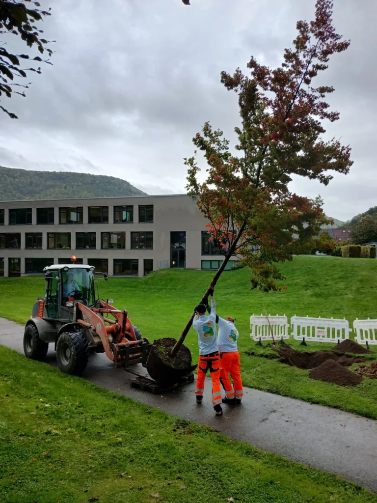 gartenschau-bad-urach-news--NNZI0729-0020