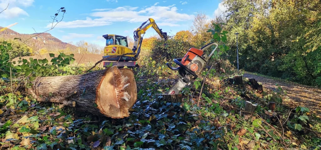 gartenschau-bad-urach-news--TKGL7046-0049