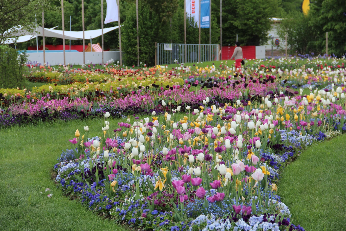 Bunter Tulpen Wechselflor