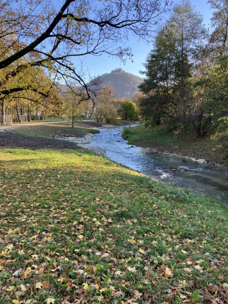 Neue Parkerweiterung, die den Kurpark ergänzt. Ein geschwungener Weg entlang des Brühlbachs. Im Mittelpunkt stehen Landschaft und Landwirtschaft.